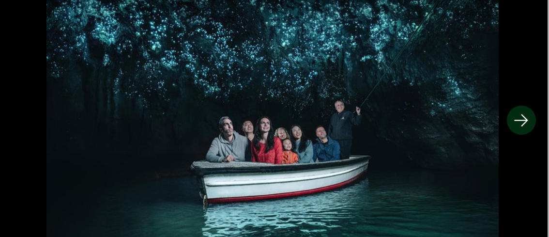 Waitomo Glowworm Caves